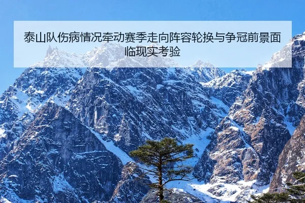 tai-shan-dui-shang-bing-qing-kuang-qian-dong-sai-ji-zou-xiang-zhen-rong-lun-huan-yu-zheng-guan-qian-jing-mian-lin-xian-3-450.jpg